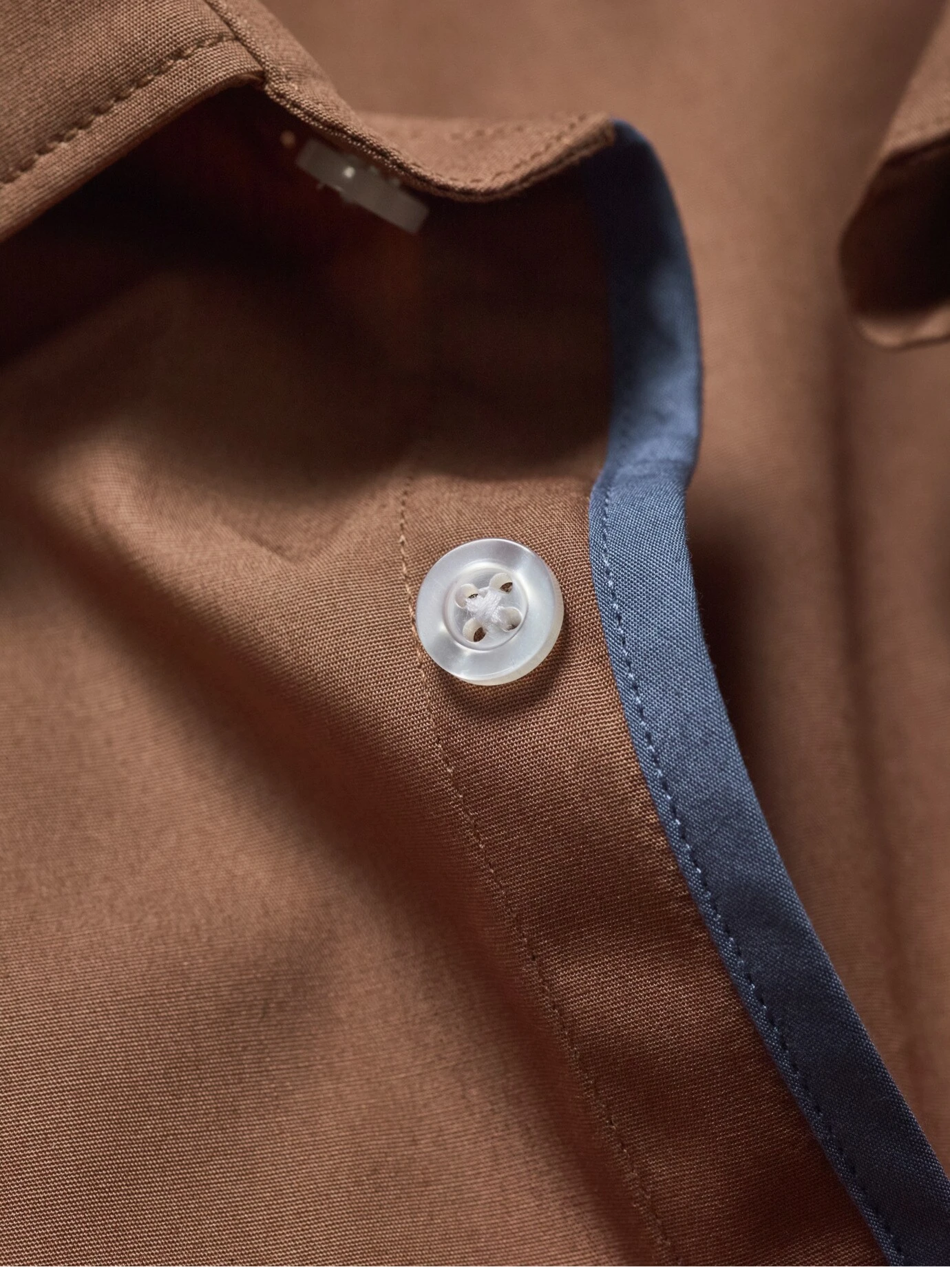 Einstein-Hemd 11 Einstein-Hemd – Bild 9