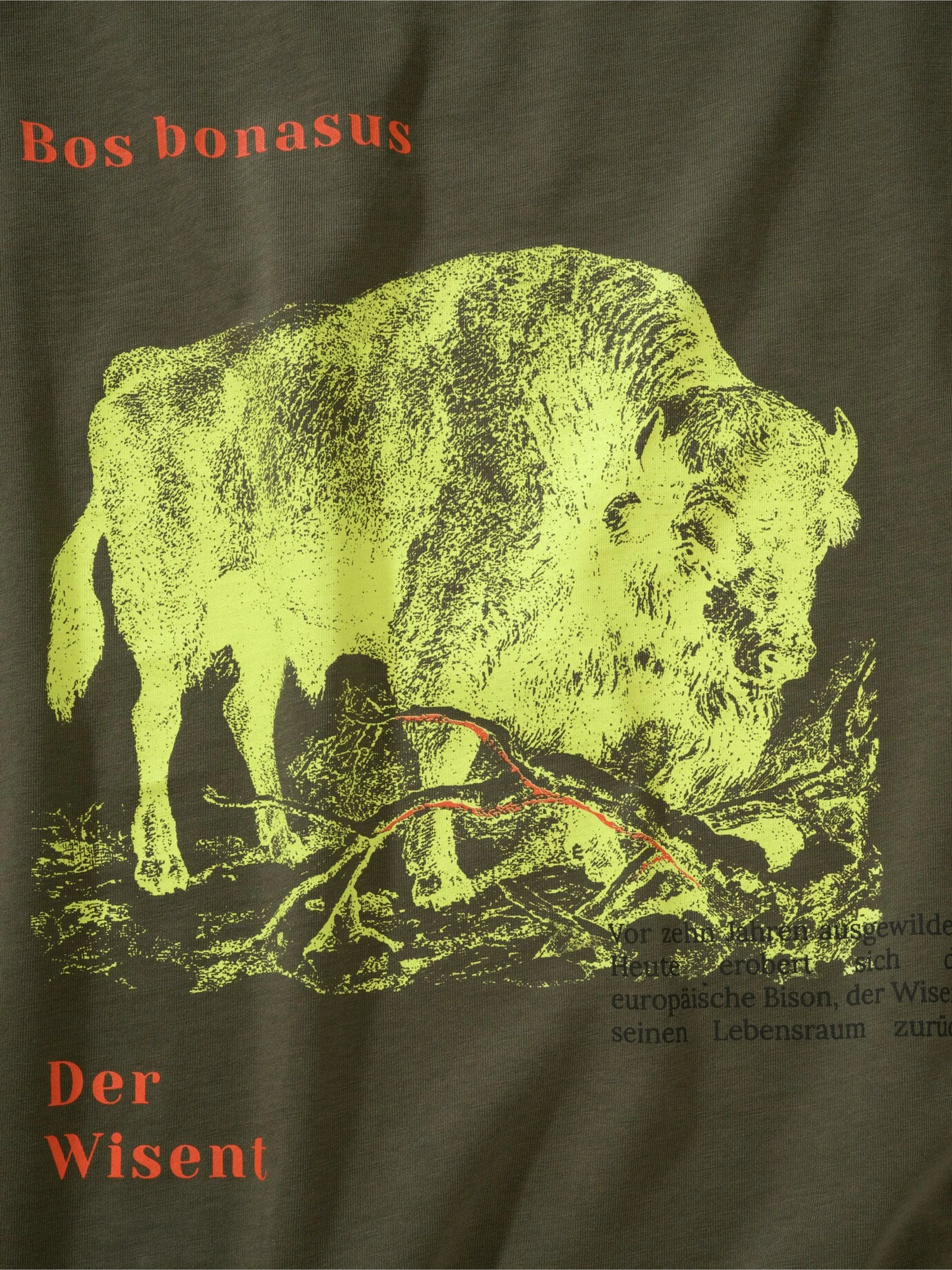 Wisent-Shirt 5 Wisent-Shirt – Bild 3
