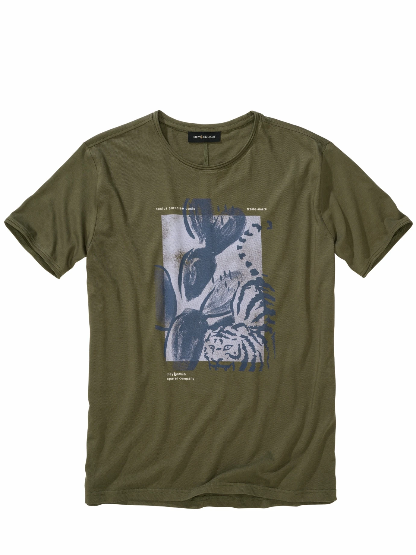 Cactaceae-Shirt 9 Cactaceae-Shirt – Bild 7